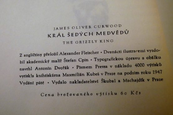 Král šedých medvědů - Image 2