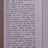 Poplach v Kovářské uličce - Image 3