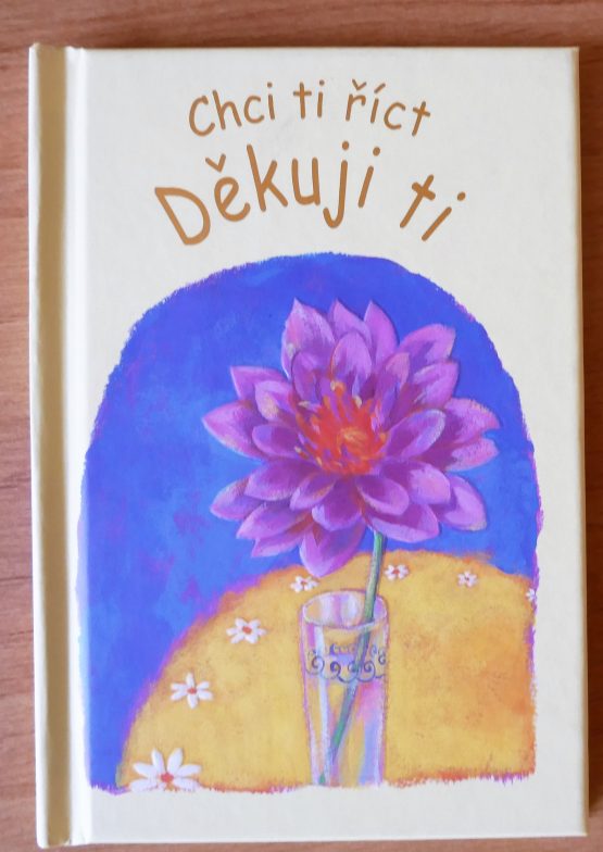 Chci ti říct Děkuji ti