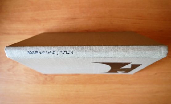 Pstruh - Image 2
