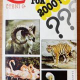 Přežijí rok 2000?