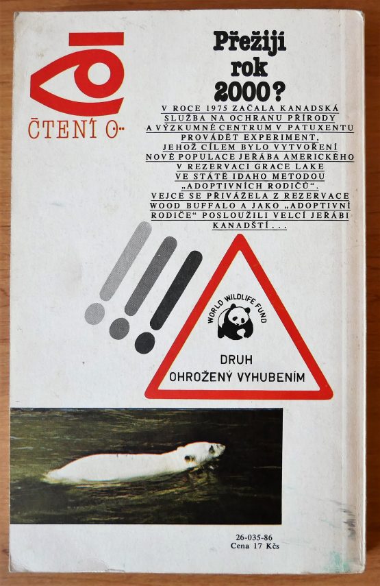 Přežijí rok 2000? - Image 2