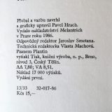 Výletní parník - Image 2