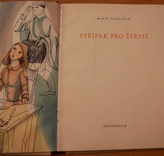 Střípek pro štěstí - Image 2