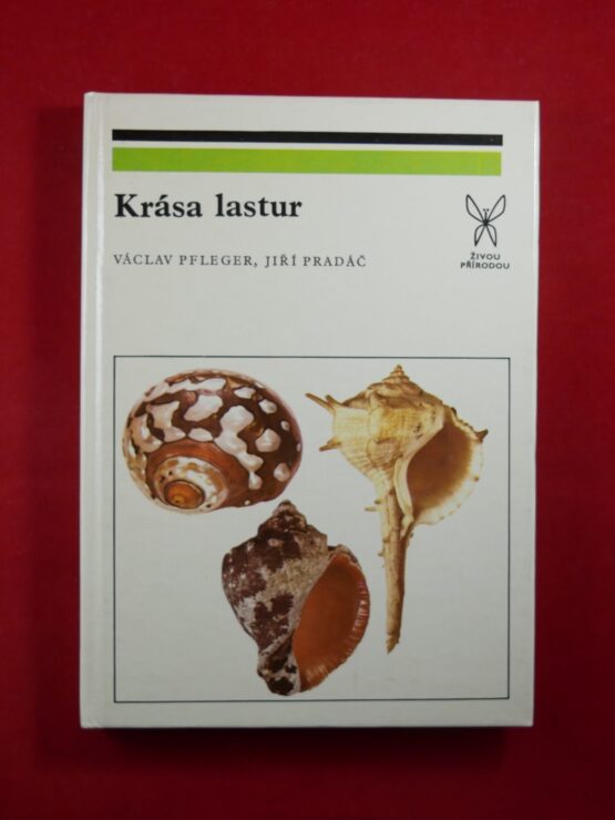 Krása lastur