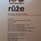 100 nejkrásnějších růže - Image 2