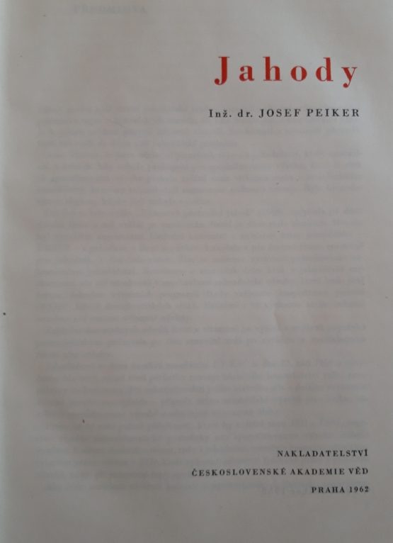 Jahody - Image 2