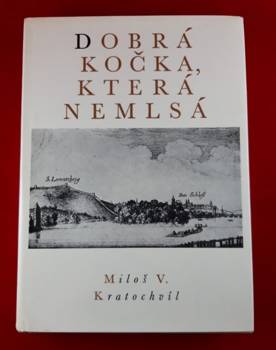 Dobrá kočka, která nemlsá