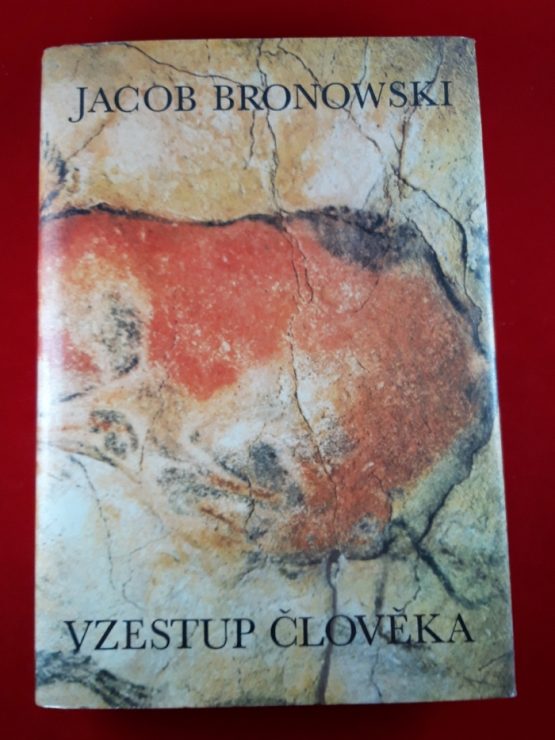 Vzestup člověka