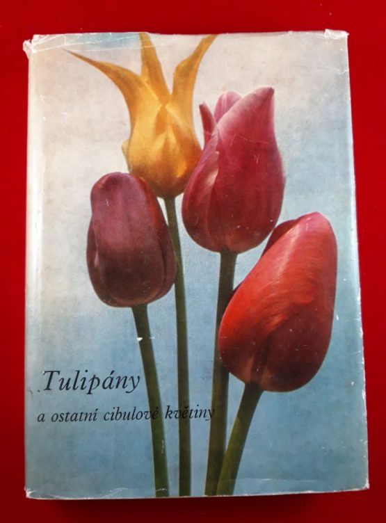 Tulipány a ostatní cibulové květiny