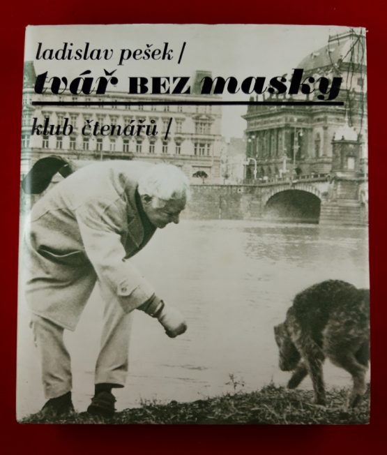 Tvář bez masky