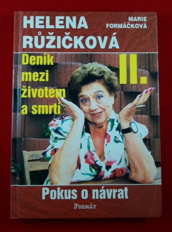 Deník mezi životem a smrtí II. - Pokus o návrat