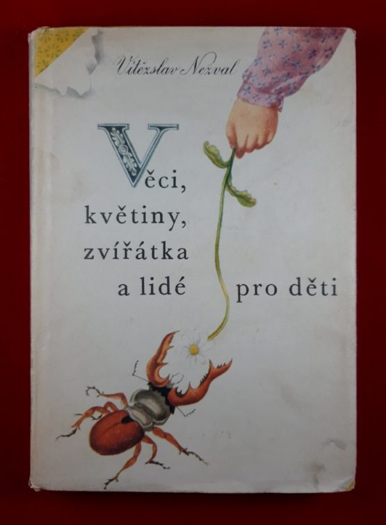 Věci, květiny, zvířátka a lidé pro děti