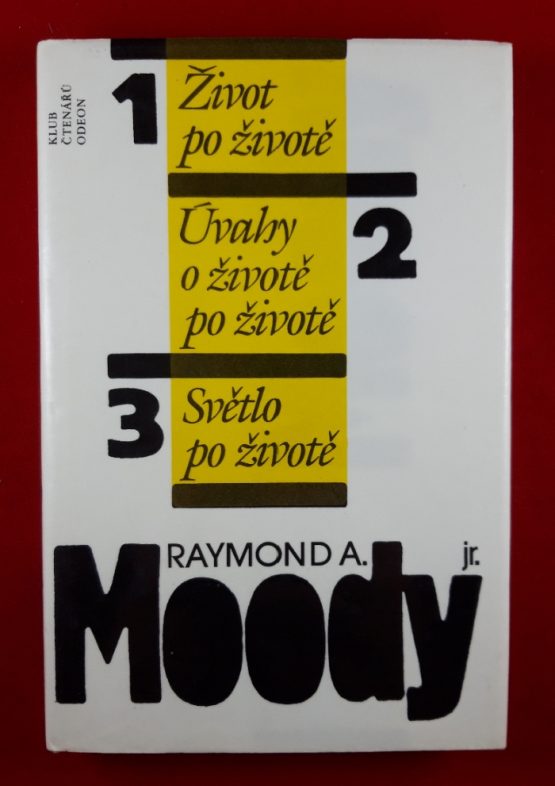 Život po životě, Úvahy o životě po životě, Světlo po životě