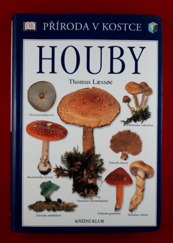 Houby