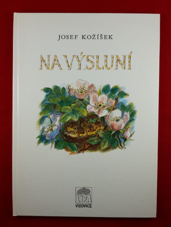 Na výsluní