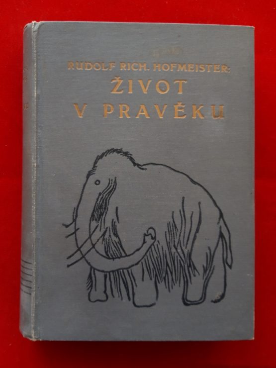 Život v pravěku