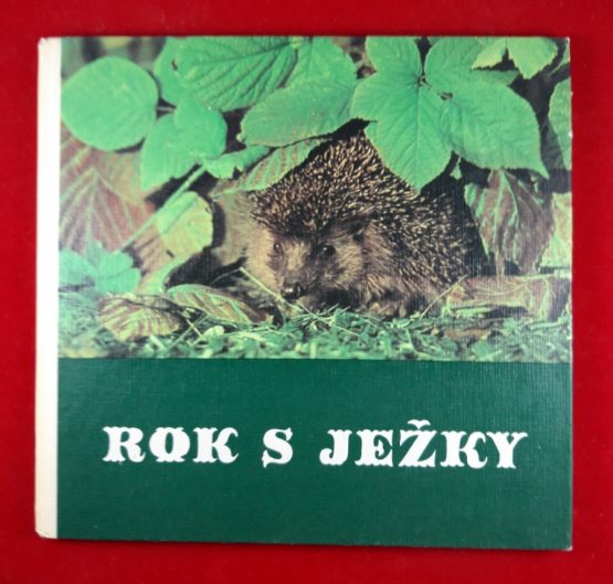 Rok s ježky