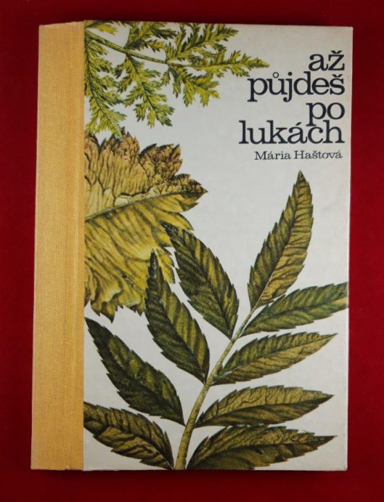 Až půjdeš po lukách
