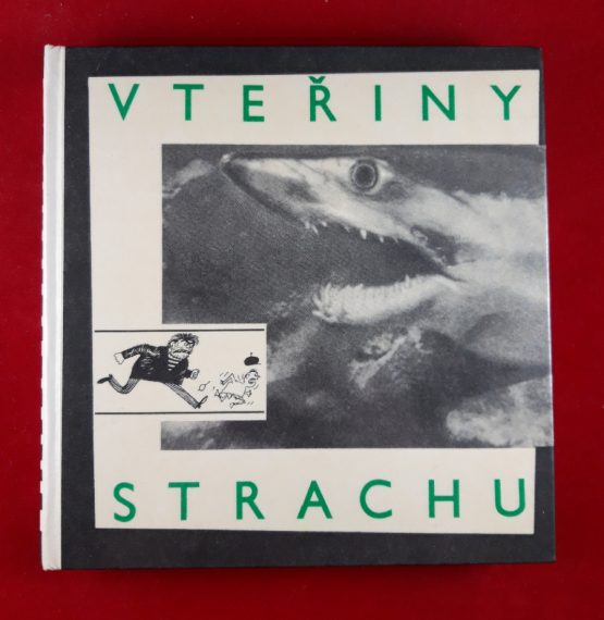 Vteřiny strachu
