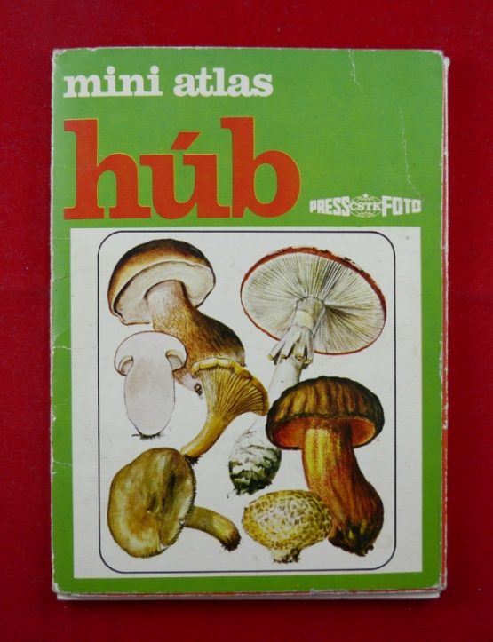 Mini atlas húb