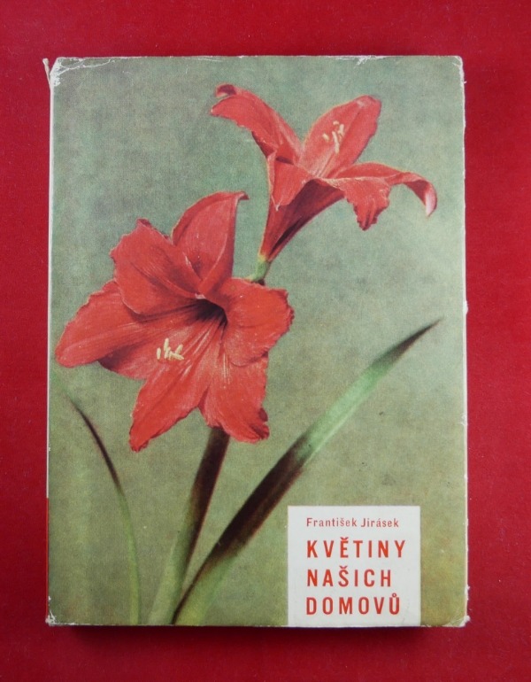 Resizer_166440198701213