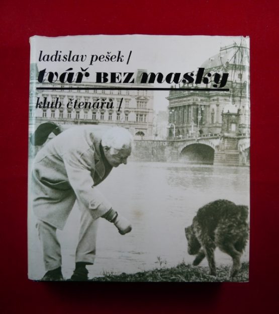 Tvář bez masky