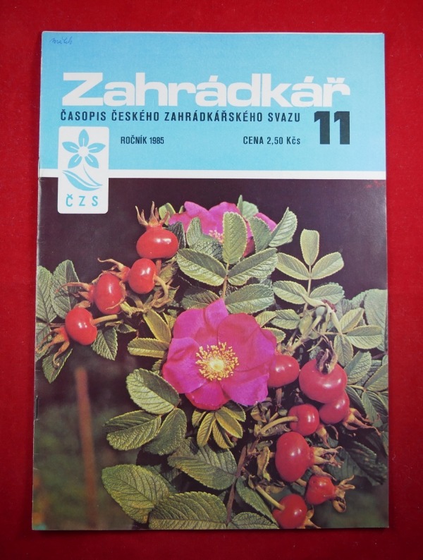 Resizer_166646662956211