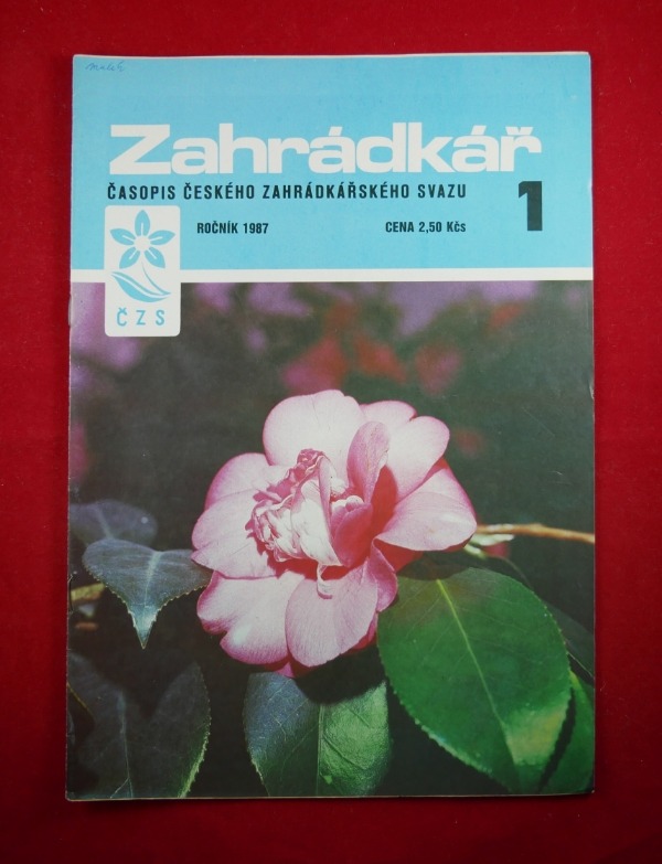 Resizer_166646662956217