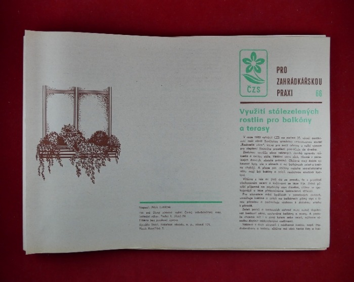 Resizer_16706896146004