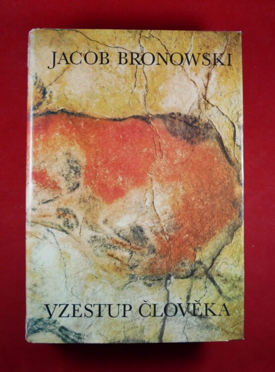 Vzestup člověka