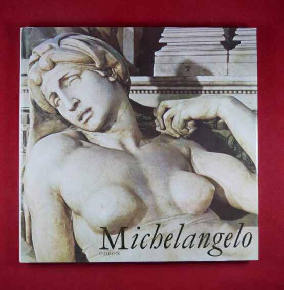 Michelangelo