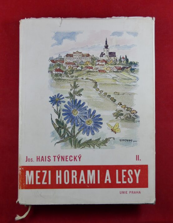 Mezi horami a lesy II.