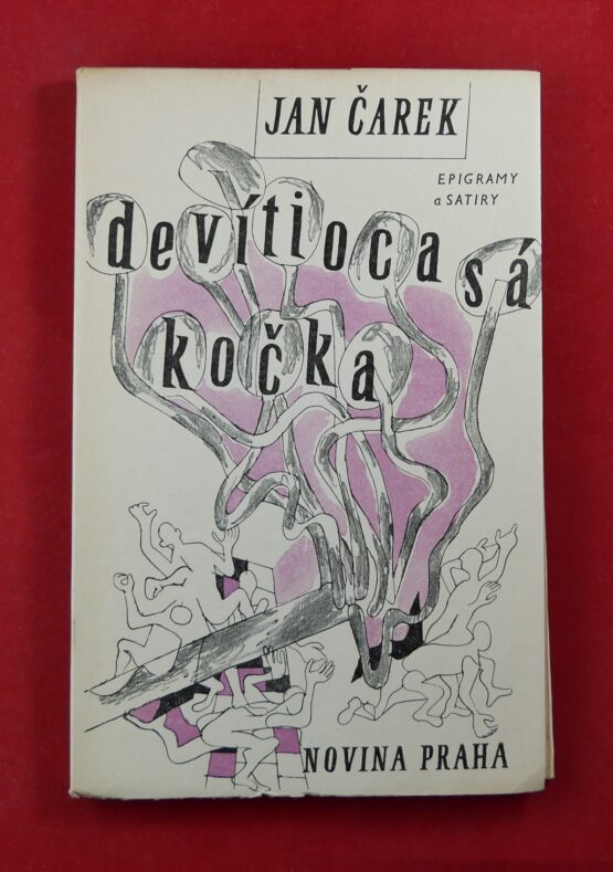 Devítiocasá kočka