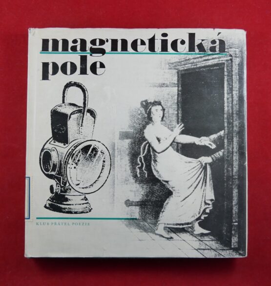 Magnetická pole