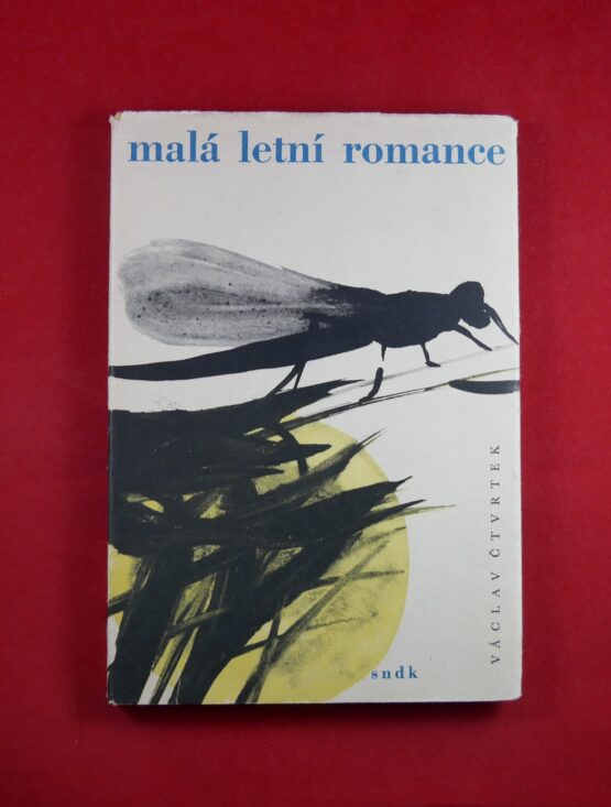 Malá letní romance