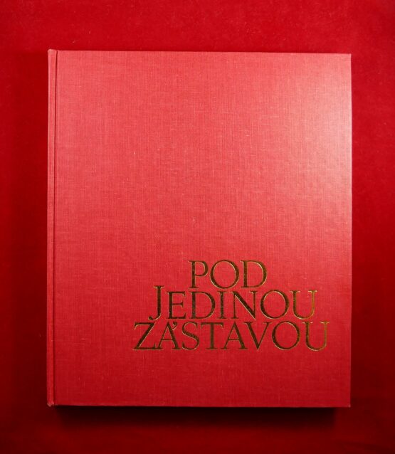 Pod jedinou zástavou