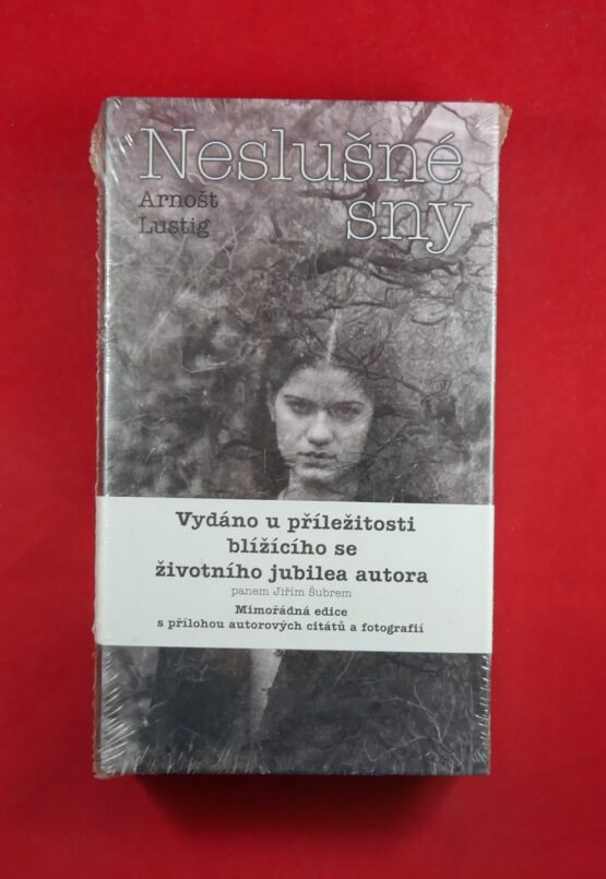 Neslušné sny