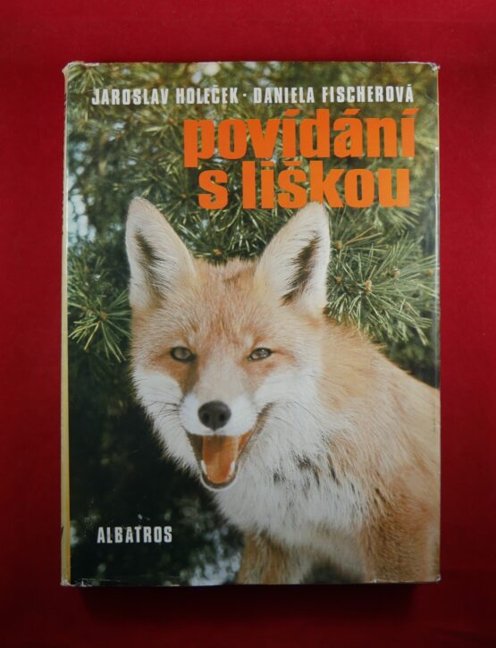 Povídání s liškou
