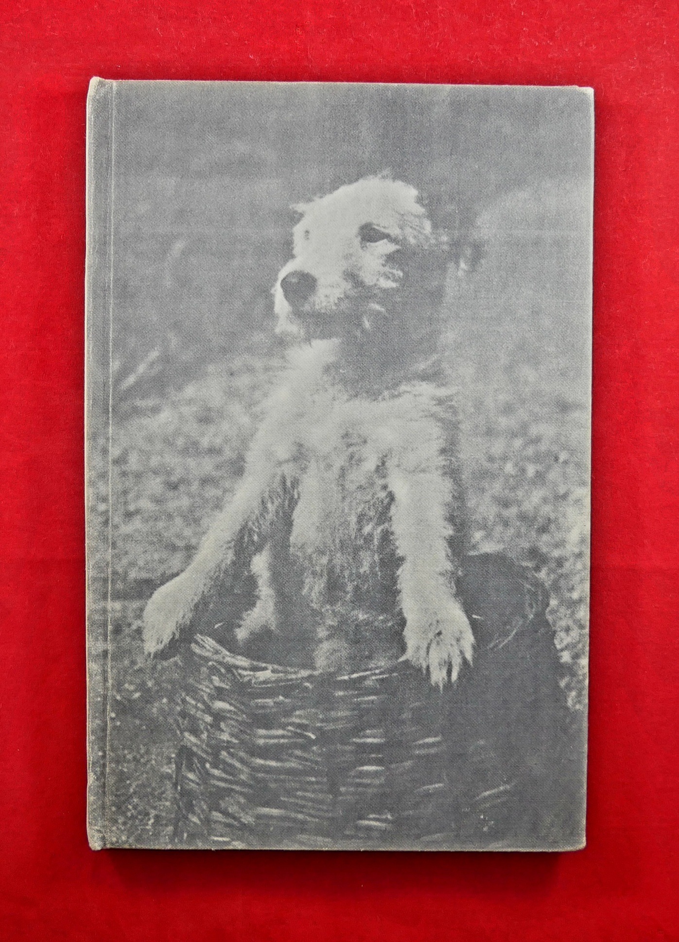 P1240726