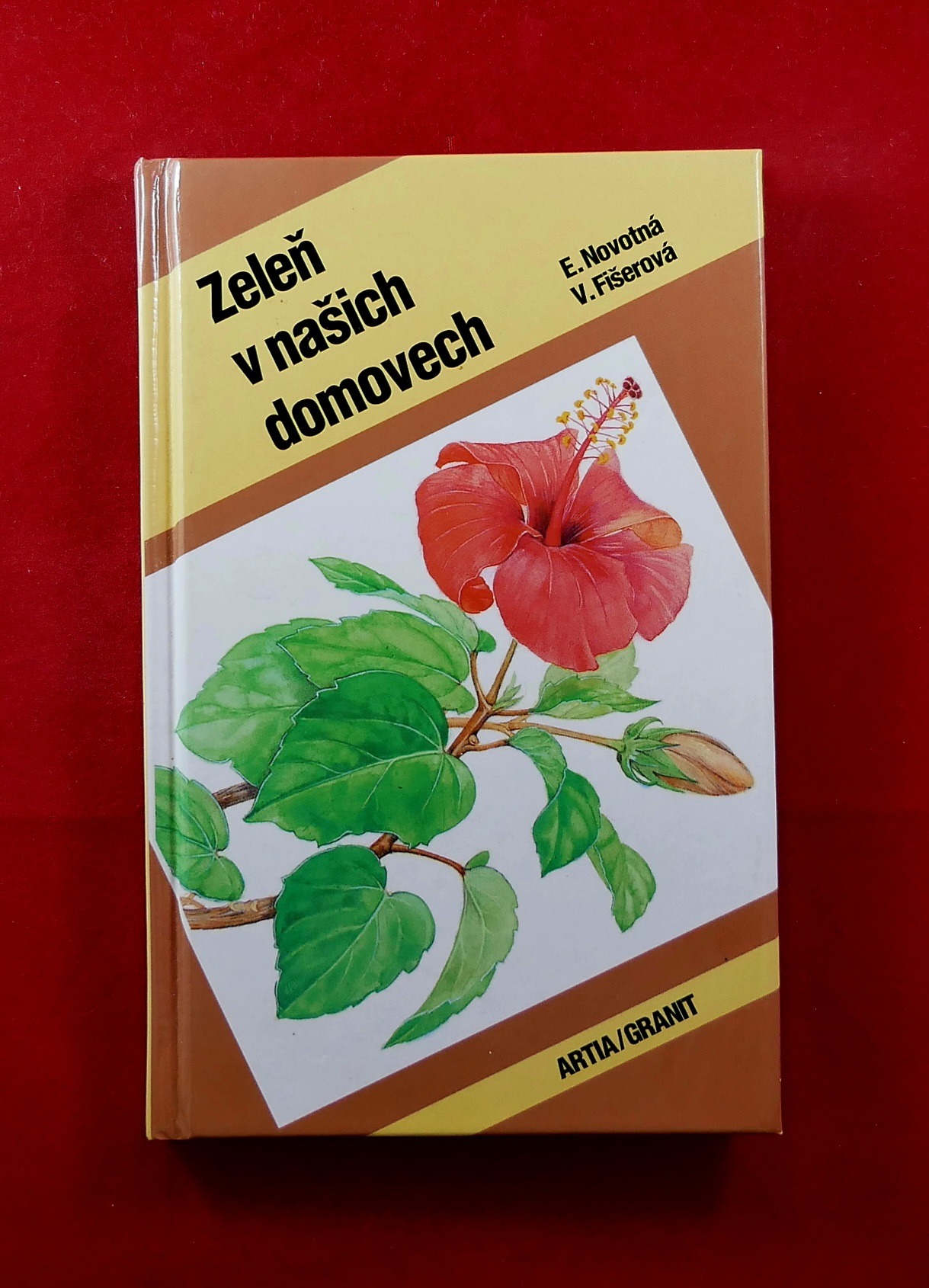 P1290037
