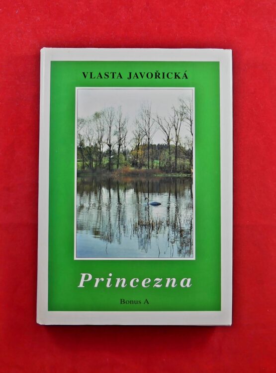 Princezna