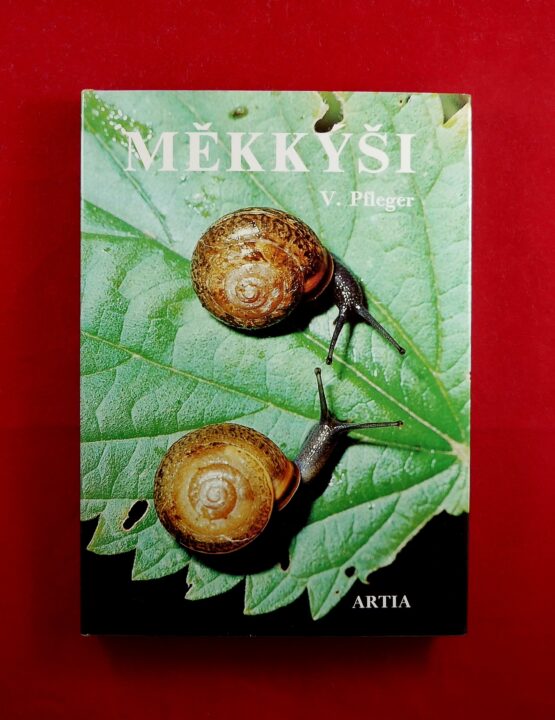 Měkkýši