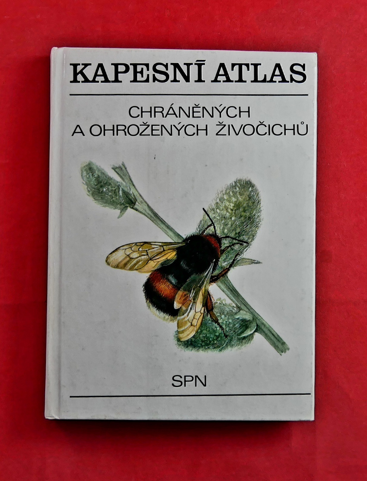 P1310181