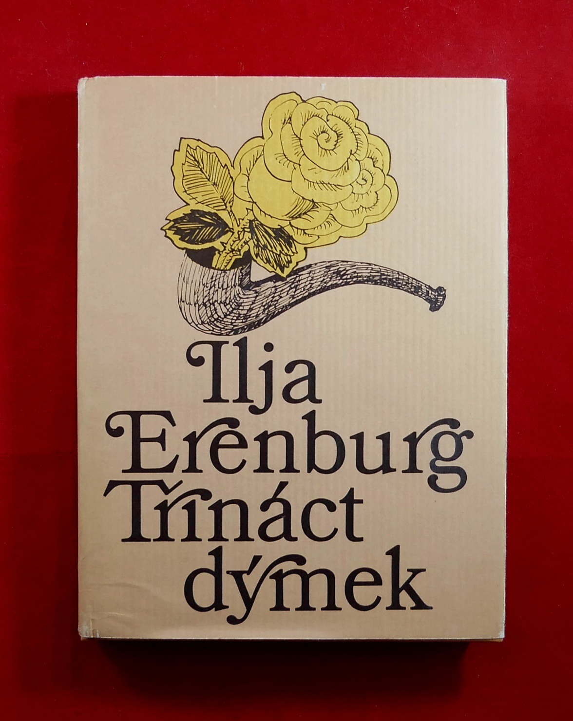 P1310746