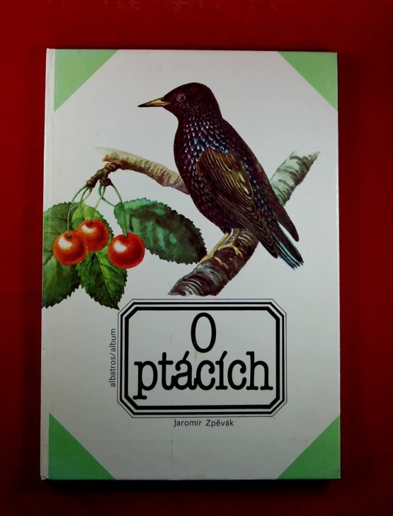 O ptácích