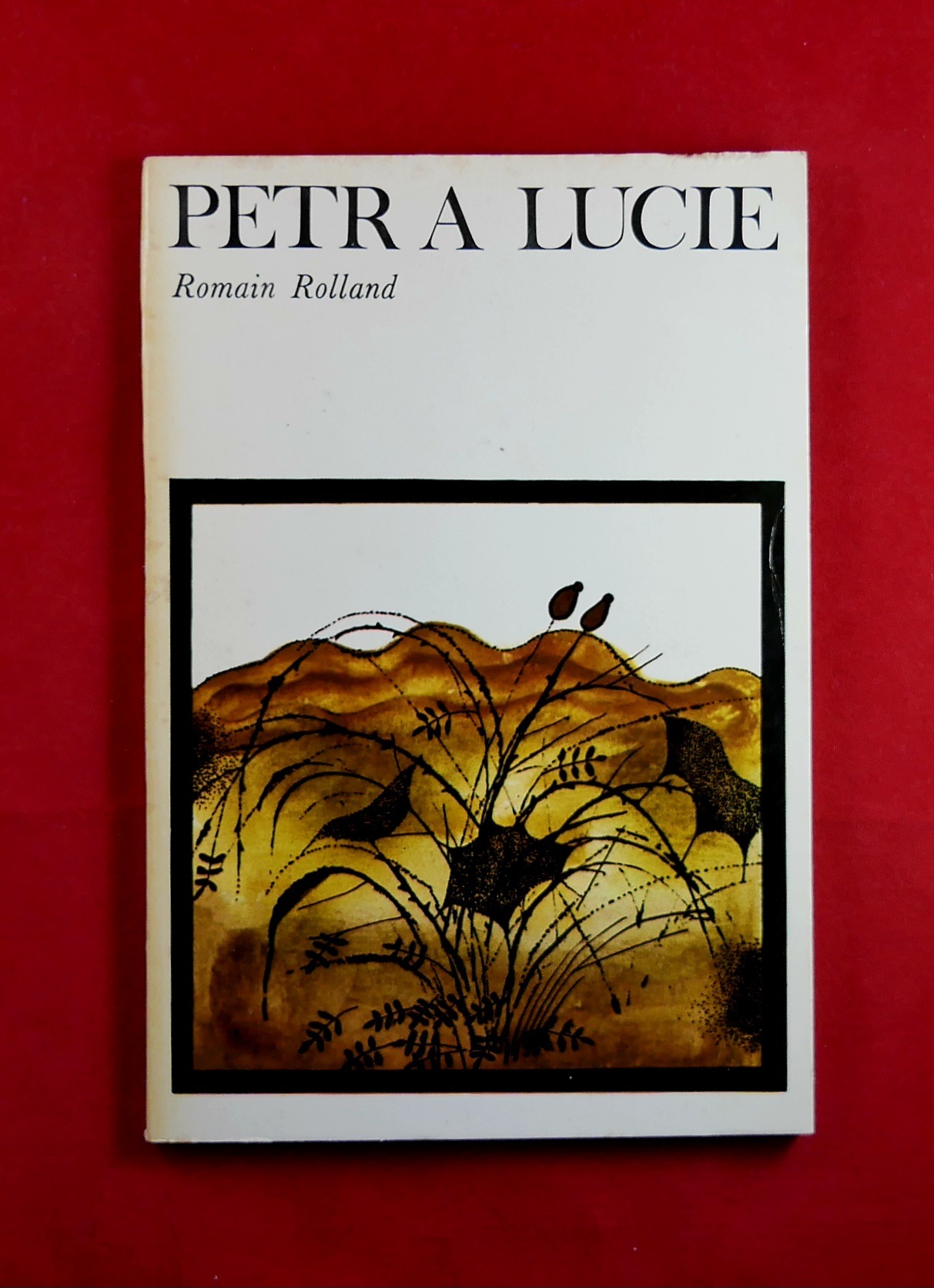 P1320601