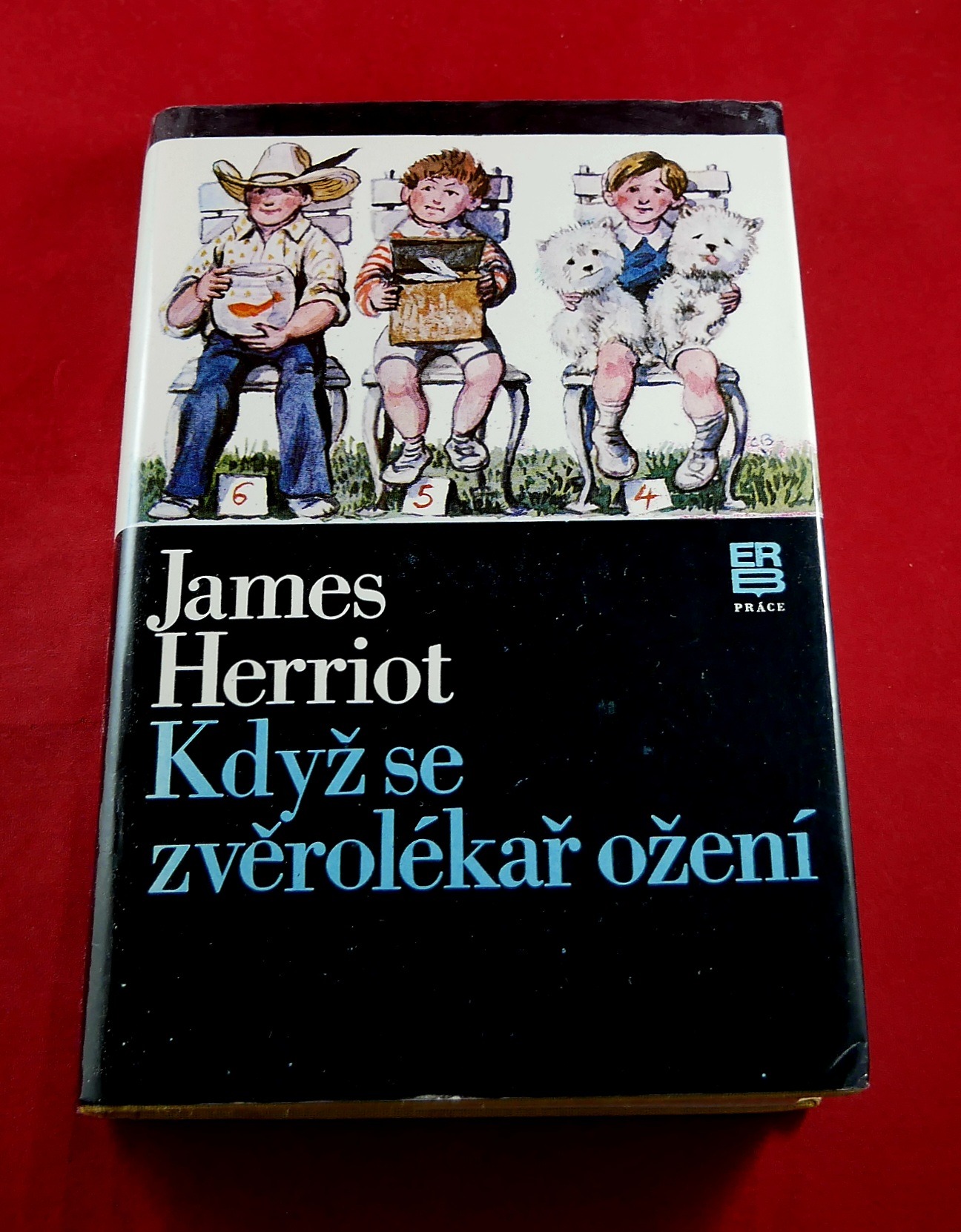 P1320749