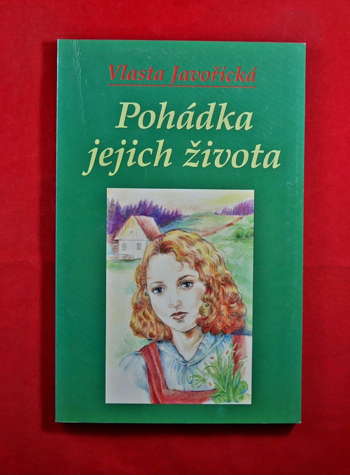P1330107