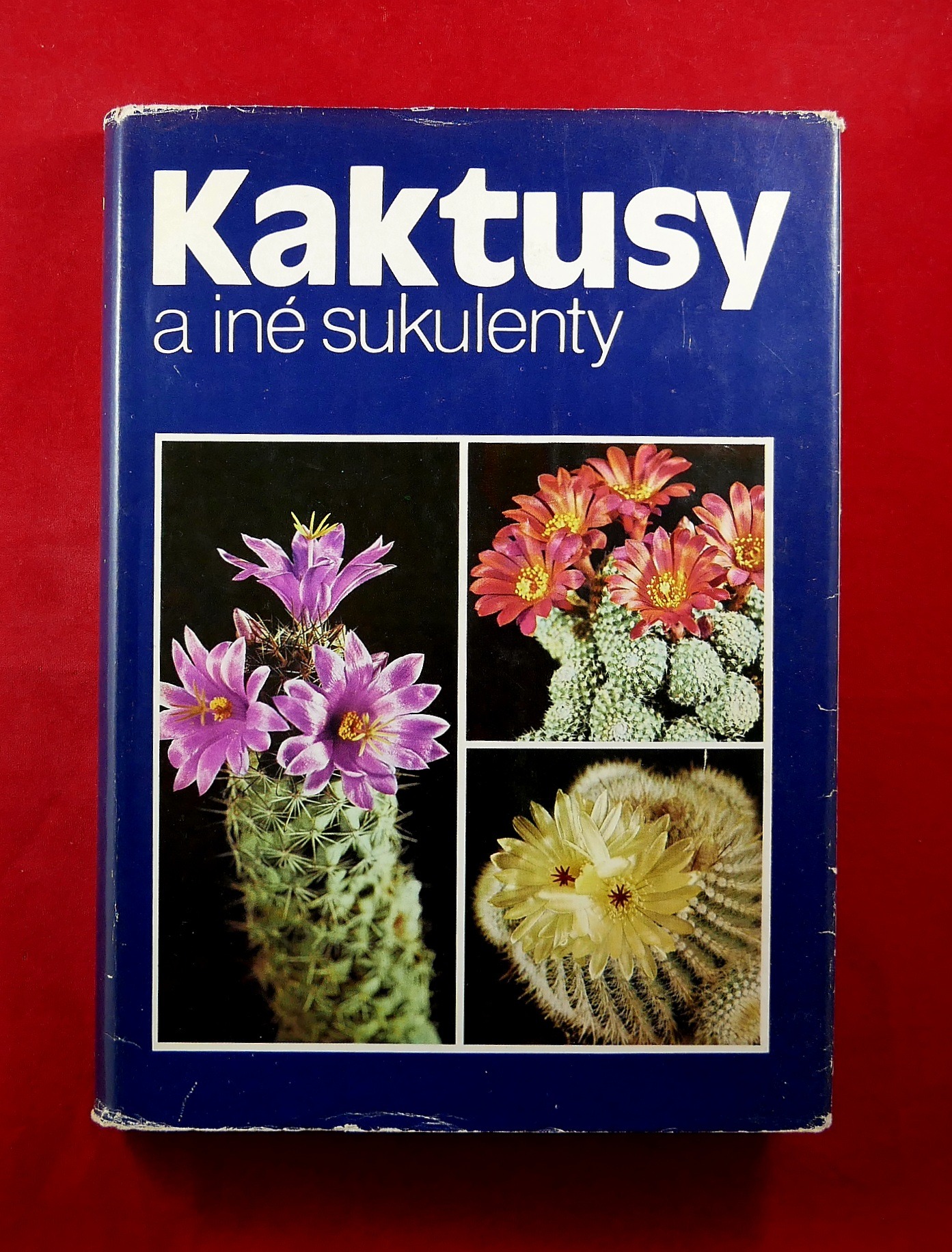 P1330191